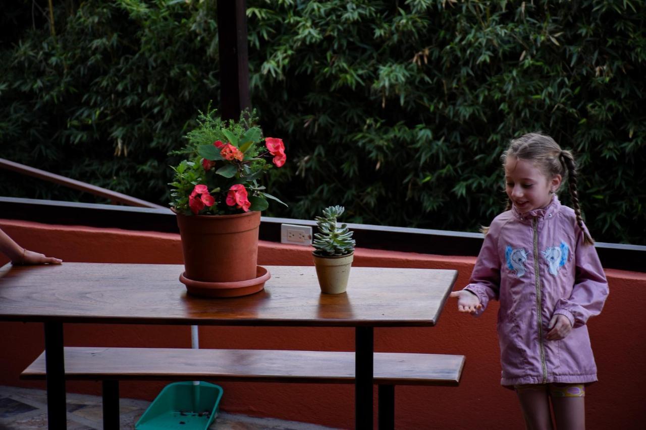 Cabinas Eddy B&B Monteverde Εξωτερικό φωτογραφία