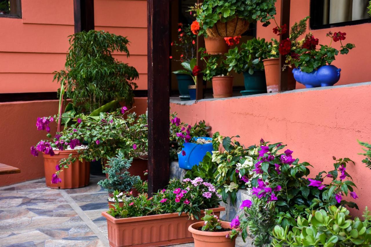 Cabinas Eddy B&B Monteverde Εξωτερικό φωτογραφία